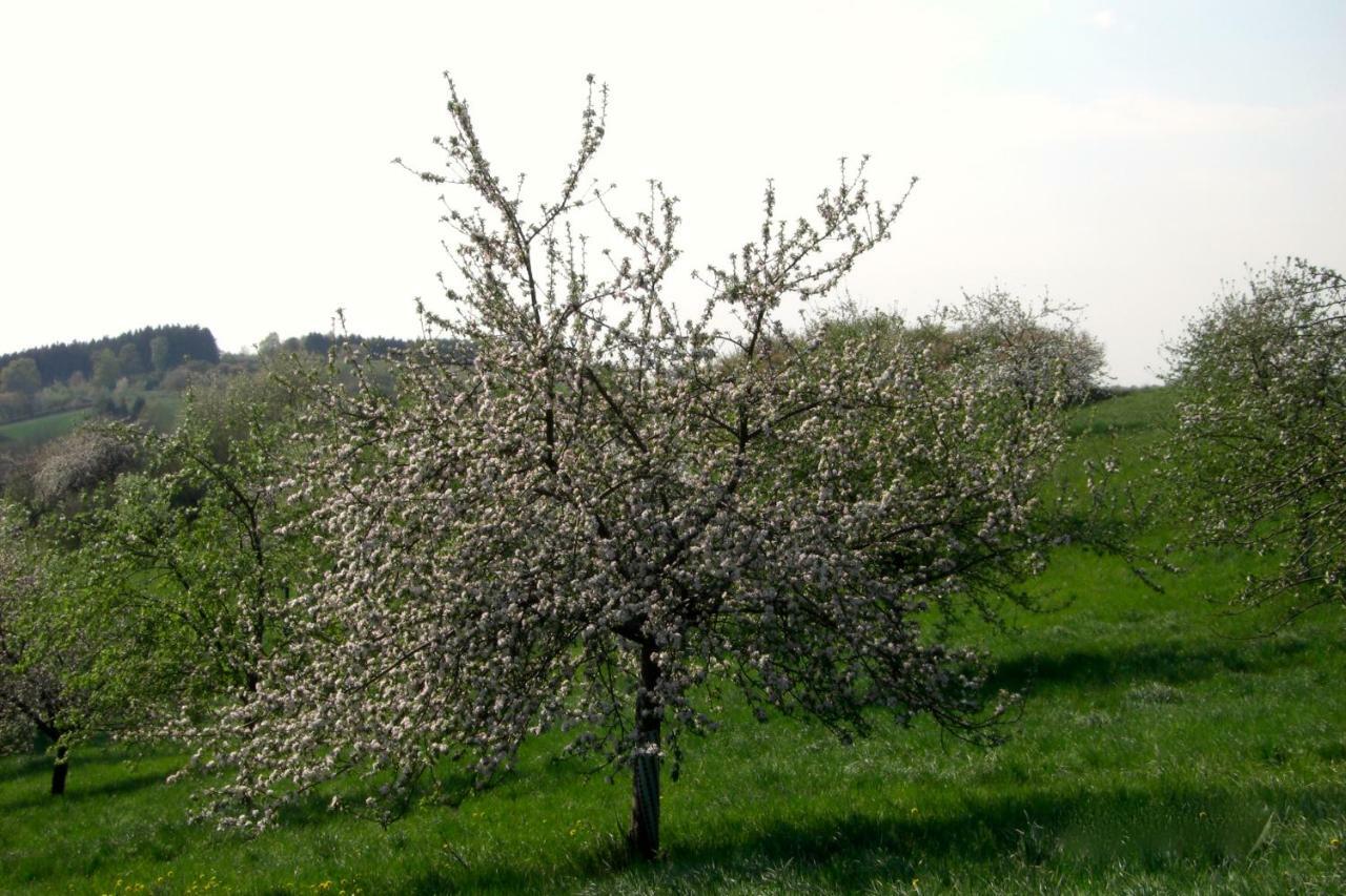 Ferienwohnung Kuhn Rhumspringe Экстерьер фото